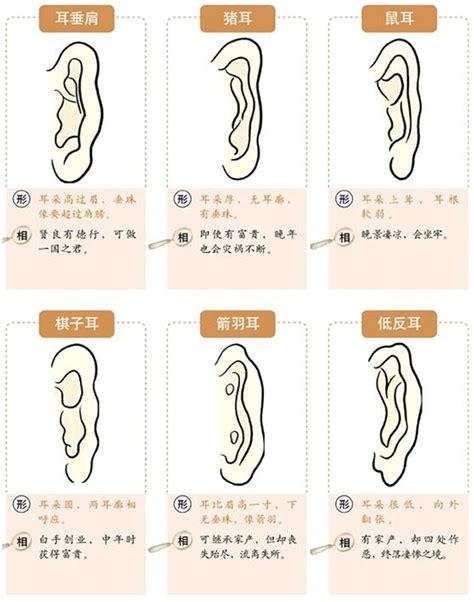 耳朵长痘痘风水|面相耳朵图解【最详细版】 – 杨易德全集官网